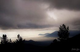 Pasa del coche, te llevamos a Navacerrada